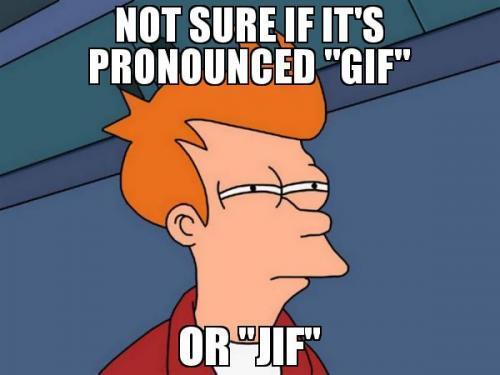 His Instincts Are Good - Señor GIF - Pronounced GIF or JIF?