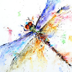 artchipel:  Dean Crouser - Dragonfly. Watercolor