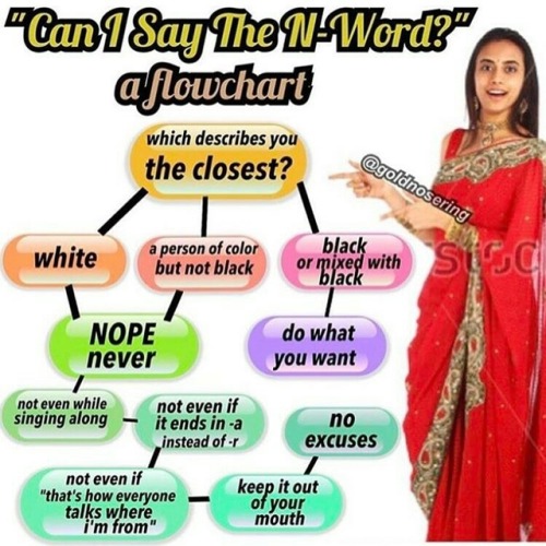 Everyone is allowed to say Nigger. I overule this shitty flowchart.Besides, who the fuck thinks usin