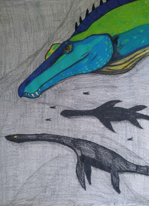 Some Old Beasts Of Bermuda Ichthy Art