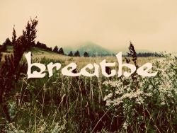 thelovenotebook:  More?