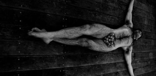 nihilnovosubsole:   David Colin-Papa  |  David Colin Onze   | 11