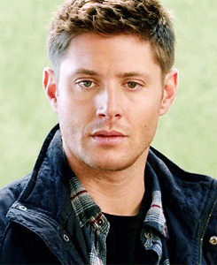 alcoholicsammy:  Dean checking out a poodle.. | 9x05: