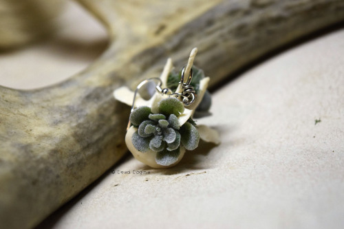 Raccoon vertebrae with fake succulents earrings - Available here | Store | Facebook | Instagram | Ko