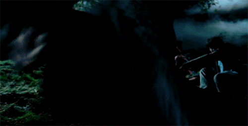 rose-tylers:Professor Snape protecting the trio in Prisoner of Azkaban One of my most favourite scen