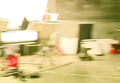 trackingmockingjays:  go away you little shit