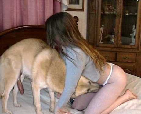 Sex knots-and-ectoplasm:  pourlegrandchien: I pictures