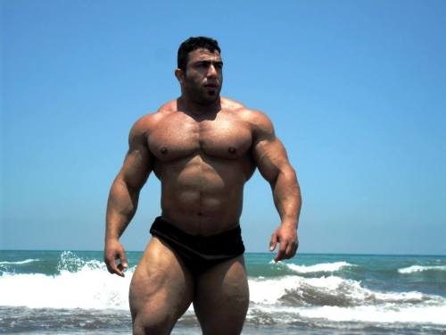 drwannabe:  Isaac Ghavidel  [view all posts of Isaac] 