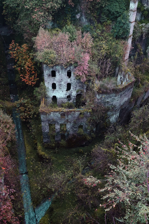 scavengedluxury:  The Valley of the Mills. Sorrento, November 2015. 