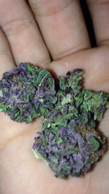 fried-n-faded:  Some grapeape🍇🔥🍁😱