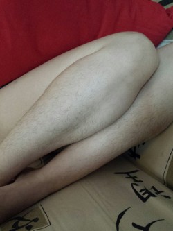 ken-chan-11:  My wife’s hairy legs!!! (3)