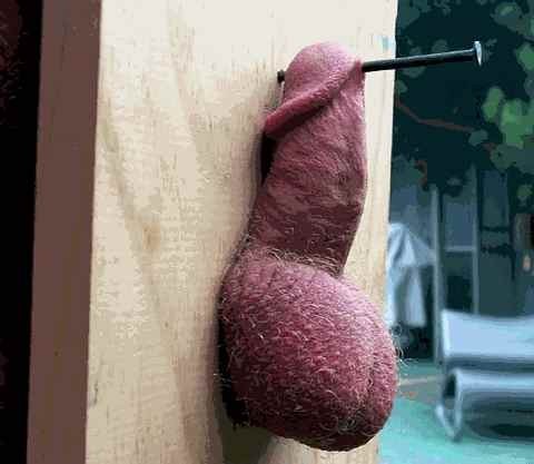 forloveofcock:  I guess he lost out in the divorce?  Um&hellip;&hellip;