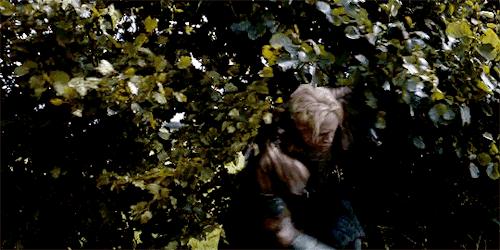slytherinoftarth:vavaharrison:brienne of tarth -  first appearance in every season of game of throne