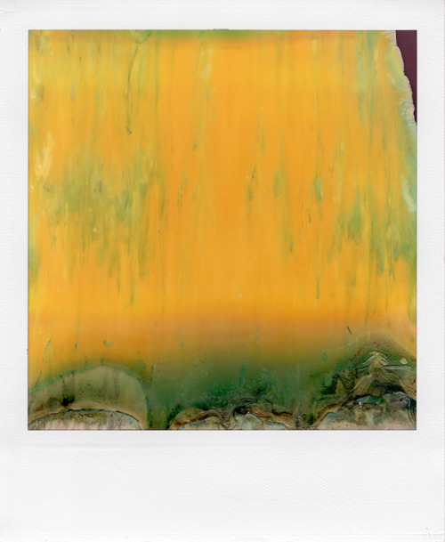nevver:  Polaroids, William Miller