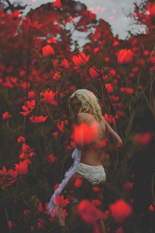 beautifulbizarremag: MAGICAL WILD FLOWERS Get ready for a Photogasm! Head over to the #beautifulbiza
