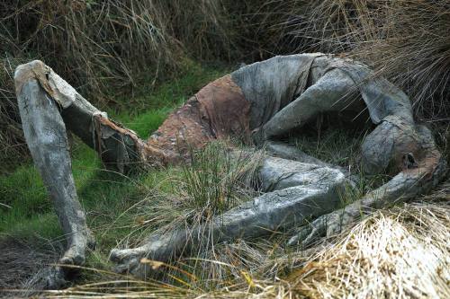 ex0skeletal-undead:Swamp creatures in the Marshes Nature Reserve of Séné in the Gulf of Morbihan in 