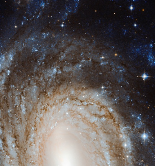 thedemon-hauntedworld:NGC 6384: Spiral Beyond the Stars The universe is filled with galaxies. But t