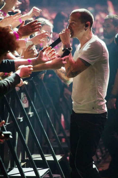 linkinparknews: 3 months…