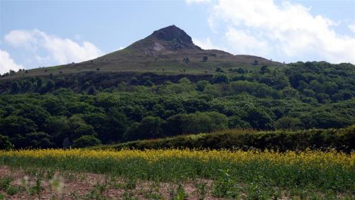 On the way to Roseberry Topping, North Yorkshire, England.