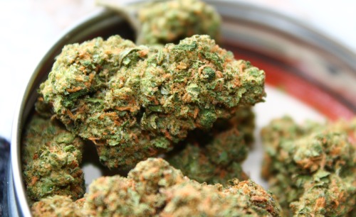 -delta-9-:  Some Mystery Bud.