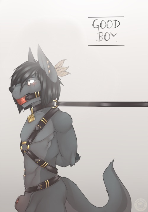 azure-n-saby: SpazzyHusky BDSM part two (canids from least liked to greatest liked but I love them all) 
