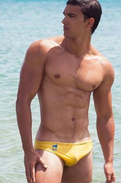 glad2bhere:  hot pecs guy, yellow speedo