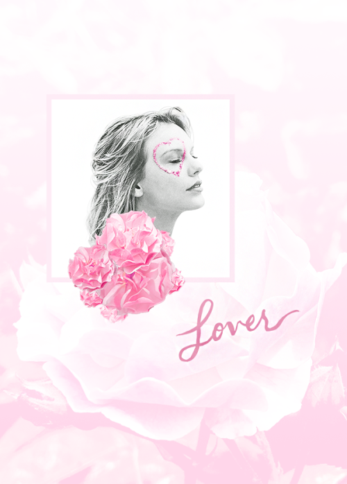focusontay: You need to calm down.@taylorswift &amp; lover featuring the pink roses of hyde park