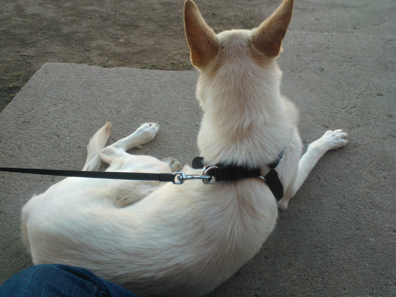 I can&rsquo;t get over how pretty she is, even when she&rsquo;s just sittin&rsquo;