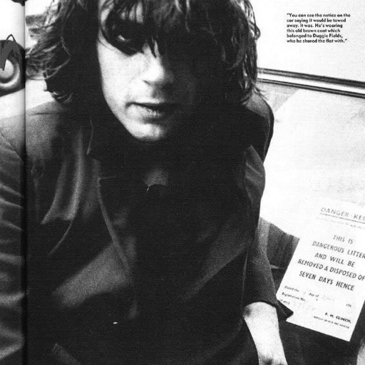 mostlybarrett:David Gilmour