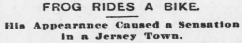 dio-brando-did-nothing-wrong:thebuttkingpost:yesterdaysprint:The Coffeyville Daily Journal, Kansas, 