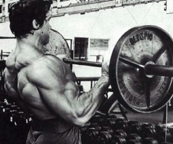 bodybuildingzone:  Bodybuilders pics 