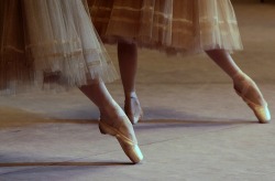 lasylphidedubolchoi:Bolshoi’s Giselle Photo by Ekaterina Vladimirova