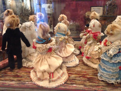 polarbeardesire:The Kitten’s Wedding by Walter Potter at the taxidermy show at The Morbid Anatomy Mu