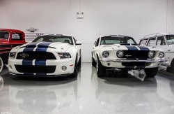 Selambengicik:  Mustang 😍
