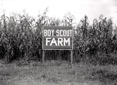 Boy Scout Farm: agronomy we can use.