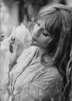 framboisedorleac:  Françoise Dorléac photographed by Raymond Cauchetier on the set of La Peau Douce, 1963. 
