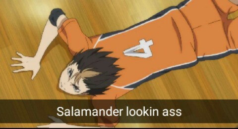 snapkyuu:  Submitted by @kags-kun