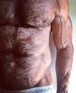 Beardburnme:  Pedrao_Gyn Instagram