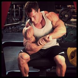 Best Bodybuilding Pics