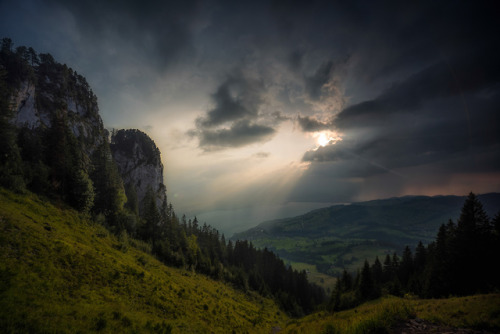 Evening sun by Samuel Hess ❧  - foto.hess.sh