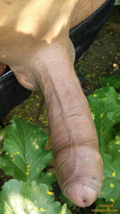 bikingdom82:  #cock Latin hung #dick Valentine’s edition #TwitterAfterDark #uncutDICK