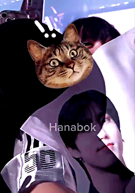 No, The Screen Is Upside Down So Han Jisung Is So Funny And Kind That He Corrects It Pye0ngtay I Was