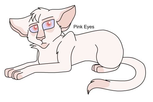 Pink EyesWarriors Design #676