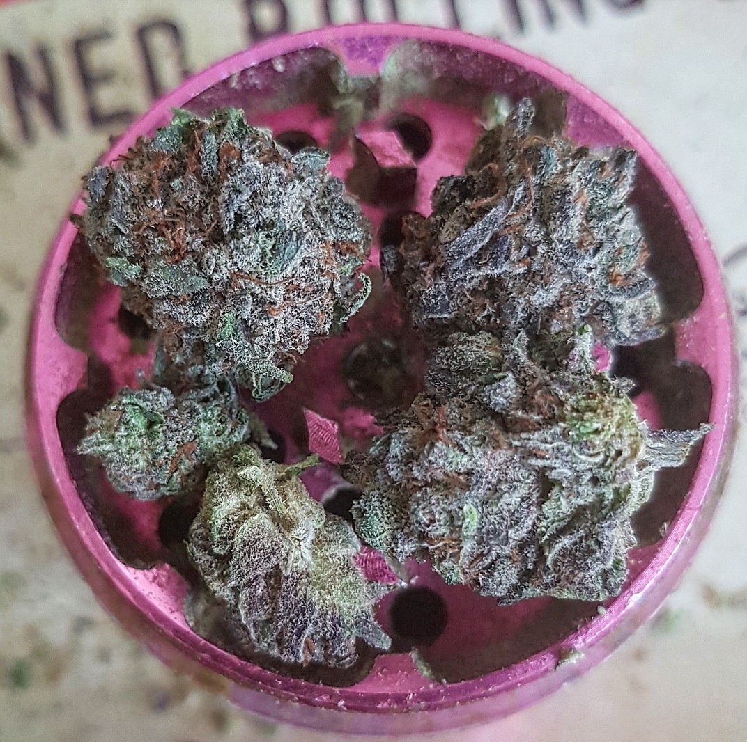 kushycat:Beautiful Mary 💜