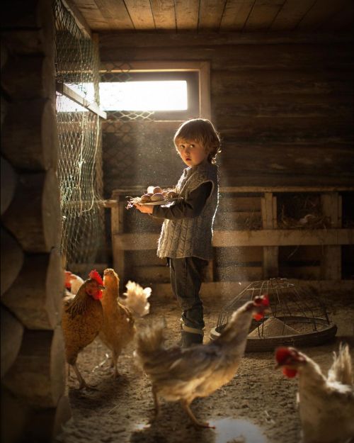 Elena Shumilova (@elena_shumilova)