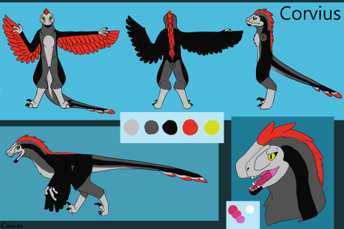 So, I’m working on a new ref and redesign for my raptor fursona and I just couldn’t believe how much