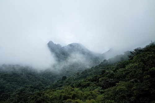 The Misty Mountain by Michael J. Roldán Cabán on Flickr.