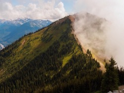 archaeheart:  in the clouds // Washington, 2017