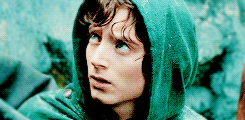 wrathandruin-blog:  Do we leave Middle-Earth to its fate?Do we let them stand alone? 