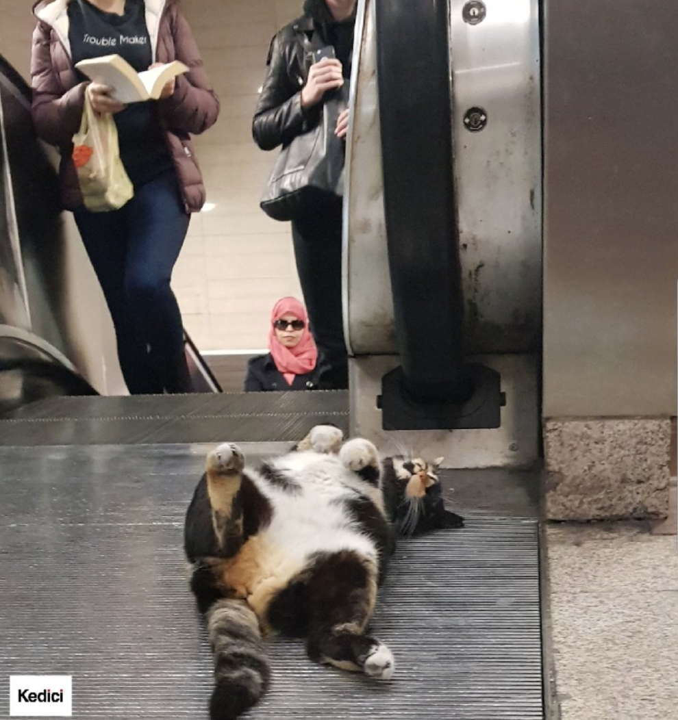 the-cozy-room: I looked it up and apparently this is in Istanbul, Turkey. She is